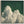 Emerald Green Clouds Square Framed Wall Art Canvas