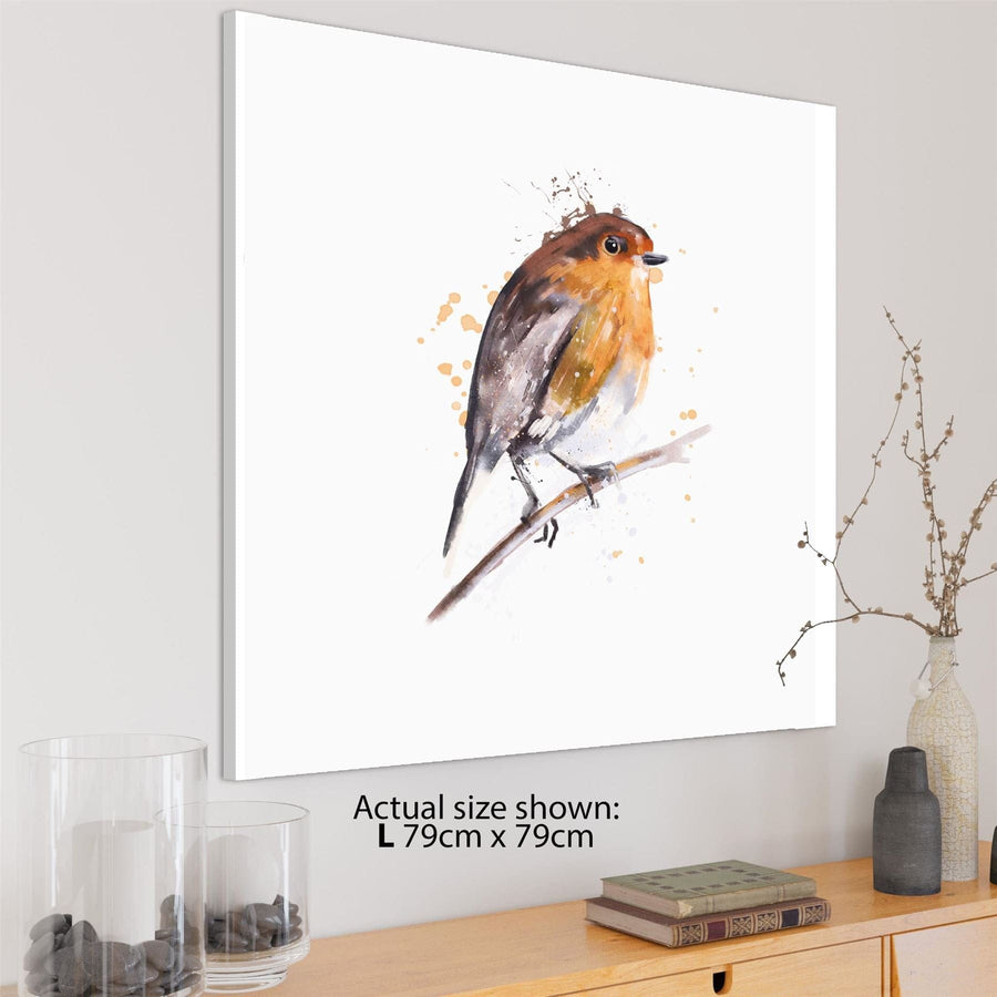 Robin Red Breast Canvas Art Pictures - Orange Brown