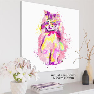 Pet Cat Canvas Art Pictures - Multi Coloured