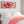 Wide Pink Gold Cream Floral Bedroom Framed Canvas for Over bed