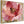 Pink Gold Cream Floral Living Room Framed Canvas for Lounge