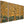 Set 3 Gustav Klimt inspired Framed Canvases Golden Tree of Life