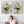 Large Abstract Floral Pink Green Pair Framed Canvas Art Set 2