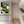 Upright Wall Art Canvas Print Framed Sleeping - Green