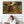 Umberto Boccioni Framed Artwork on Canvas States of Mind The Farewells