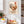 The Gaffer - Farmyard Cockerel - Framed Kitchen Wall Art Canvas