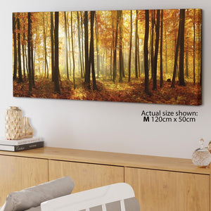 Orange Autumn Forest Scene Woodland Trees Canvas
