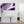 3 Piece Aubergine Plum and White - Dining Room Canvas Pictures Accessories - Abstract 3449 - 126cm Set of Prints