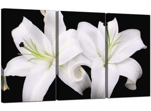 Set of 3 Floral Canvas Prints Lilies 3128
