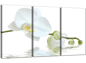 Set of 3 Floral Canvas Pictures Orchids 3134