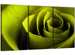 Set of 3 Flower Canvas Pictures Rose 3110