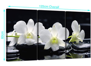 Set of 3 Orchids Canvas Prints 125cm x 60cm 3051