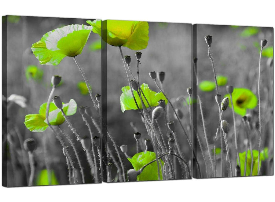 Set of 3 Floral Canvas Wall Art Lime Green Poppies 3138