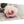 cheap vintage shabby chic french rose cream floral canvas modern 120cm wide 1278 for your girls bedroom