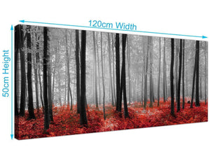 Canvas Prints Forest Scenery