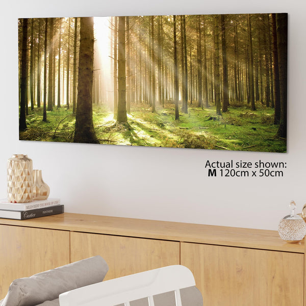 Modern Green Forest Woodland Sunlight Trees Canvas