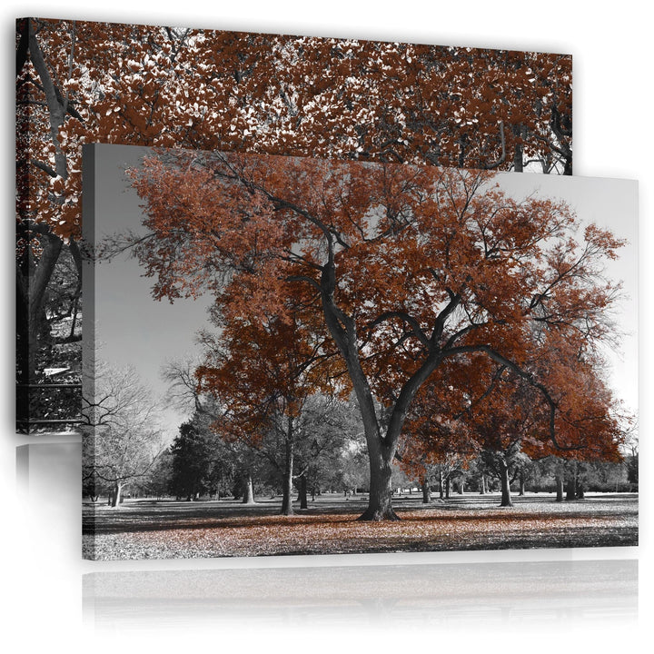 Brown Grey Black Canvas Wall Art - Trees Leaves Blossom - Set of 2 Pictures - 2CL2000L