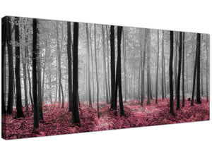 Canvas prints forest scenes