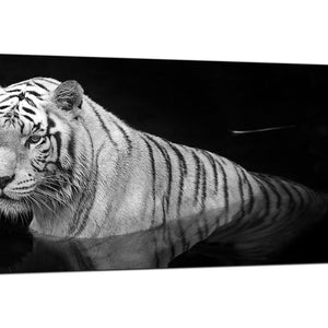 Black-White Living Room Extra Large Canvas of Tiger