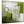 Cheap Lime Green Painting Kitchen Canvas Pictures Accessories - Abstract 1s434s - 49cm Square Print