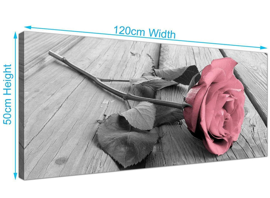 cheap panoramic rose canvas prints uk black white and pink 1271