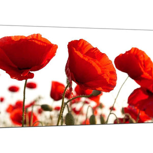 Red Living Room Extra Large Canvas of Poppies