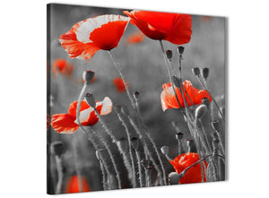 Cheap Red Poppy Black White Flower Poppies Floral Canvas Bathroom Canvas Wall Art Accessories - Abstract 1s135s - 49cm Square Print