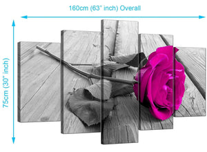 Set Of 5 Living-Room Pink Canvas Picture