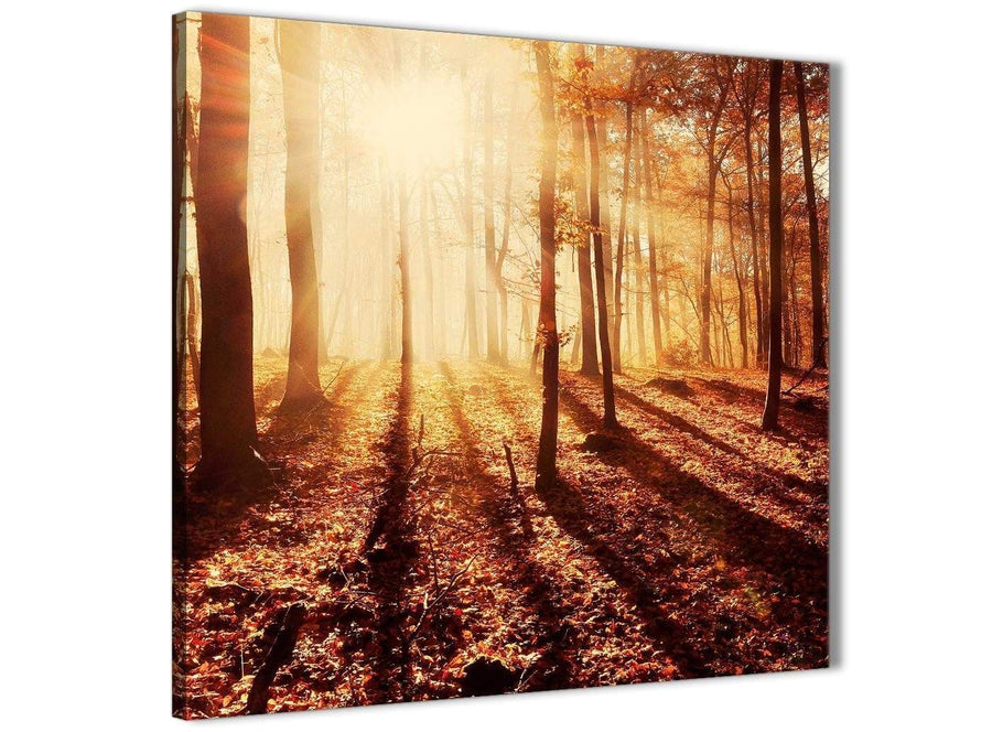 Framed Trees Canvas Wall Art Autumn Leaves Forest Scenic Landscapes - 1s386m Orange - 64cm Square Picture