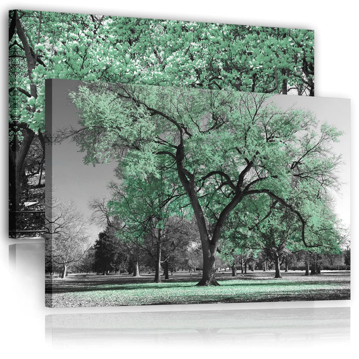 Green Grey Black Canvas Wall Art - Trees Leaves Blossom - Set of 2 Pictures - 2CL2002XXL