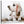 Large Childrens Bedroom Nursery Basset Dog Modern Canvas Art - 48cm - 1s252m