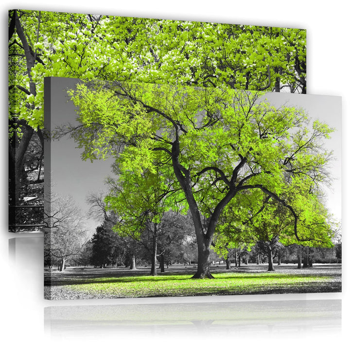 Lime Green Grey Black Canvas Wall Art - Trees Leaves Blossom - Set of 2 Pictures - 2CL2004XXL