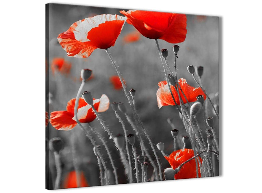 Modern Red Poppy Black White Flower Poppies Floral Canvas Abstract Bedroom Canvas Pictures Accessories 1s135l - 79cm Square Print