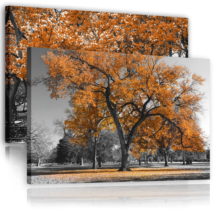 Orange Grey Black Canvas Wall Art - Trees Leaves Blossom - Set of 2 Pictures - 2CL2007XXL