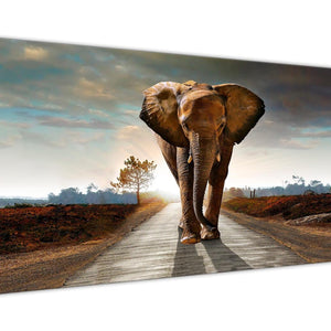 Panoramic Modern Elephant Landscape - Canvas Wall Art - 1209 - 120cm Wide Print