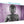 Panoramic Purple And Grey Silver Wall Art Prints Of Buddha Canvas Multi 3 Part 3330 For Your Dining Room