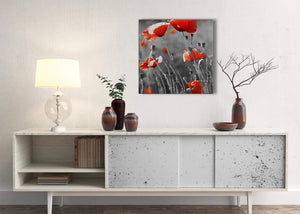 Red Poppy Black White Flower Poppies Floral Canvas Living Room Canvas Pictures Decor - Abstract 1s135m - 64cm Square Print
