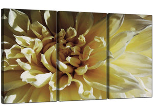 Set of 3 Floral Canvas Wall Art Flower 3104