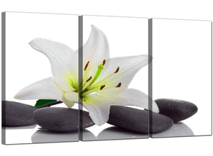 3 Panel Flowers Canvas Wall Art Lily and Pebbles 3024