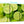 Set of Three Limes Canvas Art 125cm x 60cm 3113