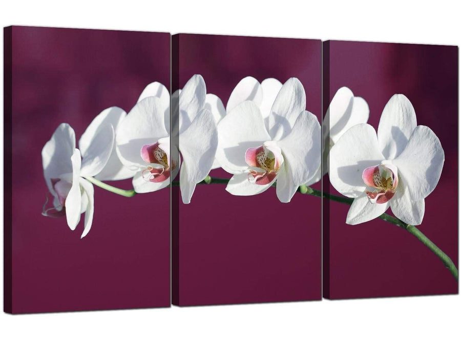 Set of 3 Flower Canvas Pictures Orchids 3116