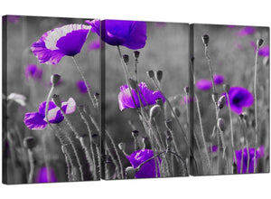 Set of Three Floral Canvas Art Violet Poppies 3136