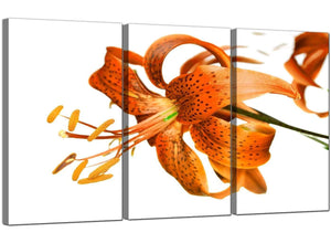 Set of 3 Flower Canvas Wall Art Lily 3142