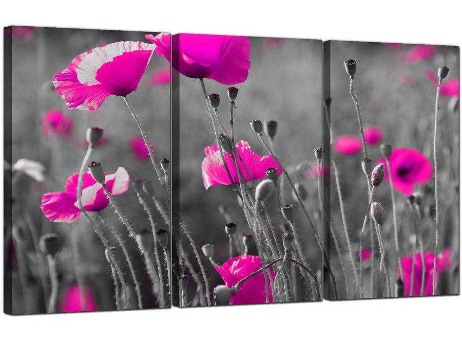 3 Part Flowers Canvas Prints UK Pink Poppies 3137