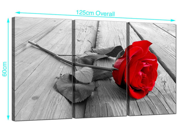 Set of 3 Flower Canvas Pictures 125cm x 60cm 3005