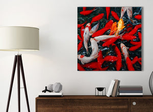 Small Canvas Prints Koi Carp Fish Painting - 1s439s Red Orange - 49cm Square Wall Art