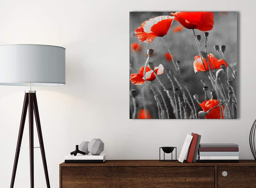 Small Red Poppy Black White Flower Poppies Floral Canvas Bathroom Canvas Wall Art Accessories - Abstract 1s135s - 49cm Square Print