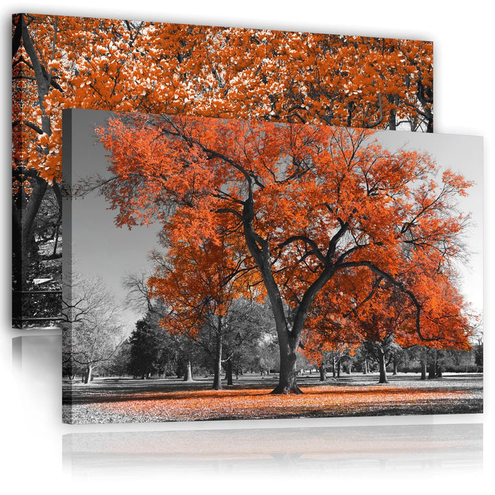 Terracotta Grey Canvas Wall Art - Trees Leaves Blossom - Set of 2 Pictures - 2CL2012XXL