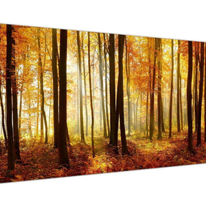 Autumn Forest Canvas Print