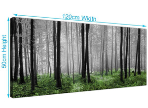 woodland trees scene canvas 1239